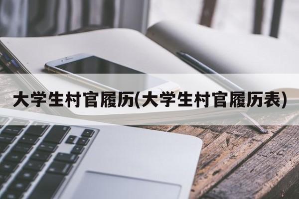 大学生村官履历(大学生村官履历表)